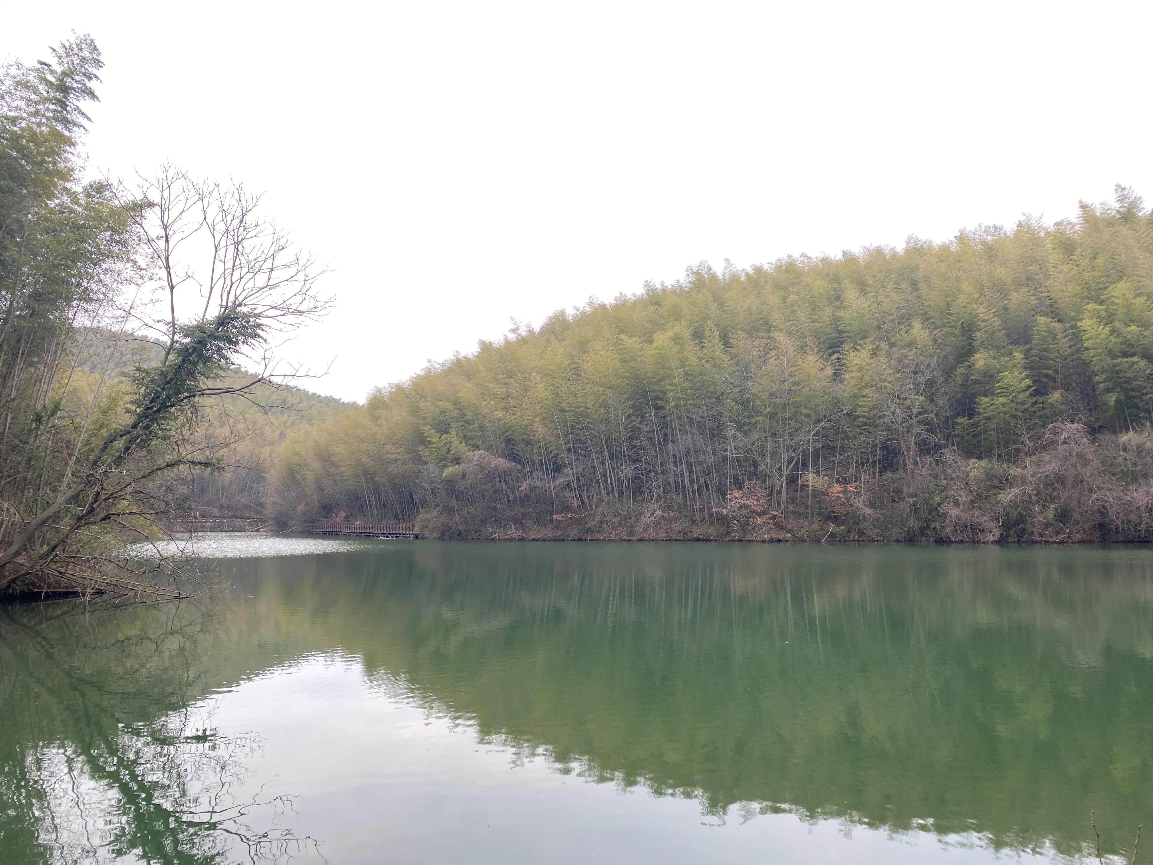 石塘竹海九寨沟,小九寨沟天然氧吧