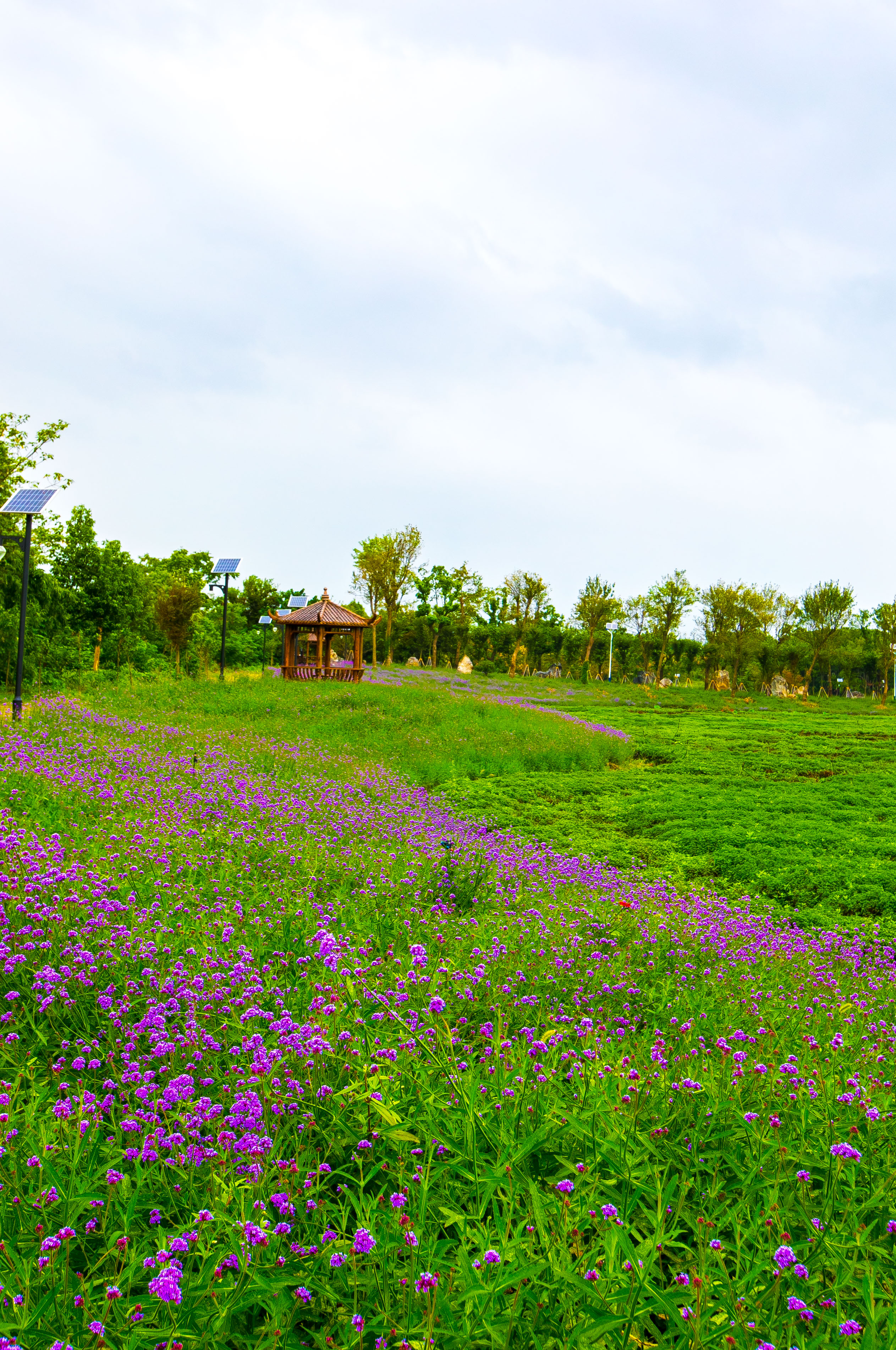与乌镇在同一行政区的水乡古镇,乌村和乌镇距离多远