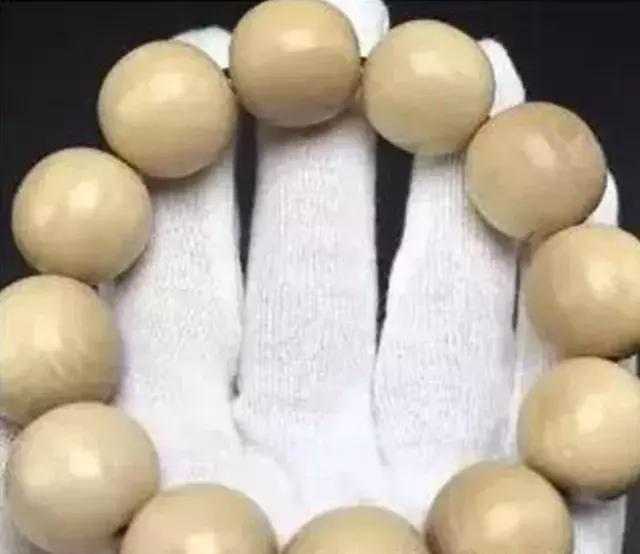 有关猛犸象的知识,猛犸象牙的来历