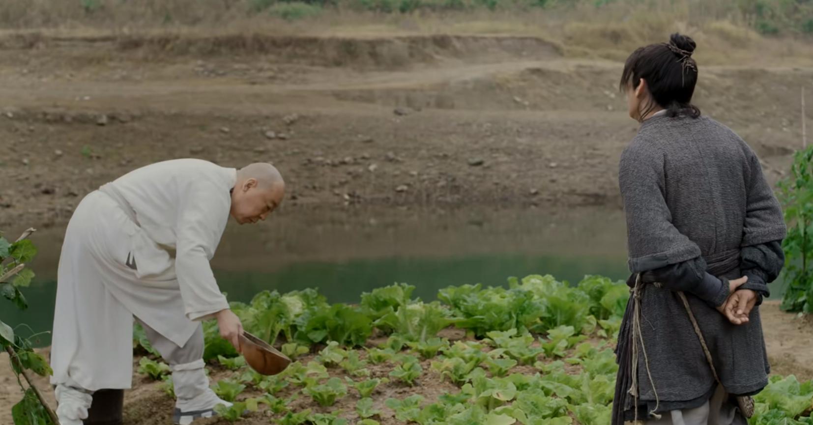 王宝强领衔《少林寺之得宝传奇》首映，这部网大是否如你所期？