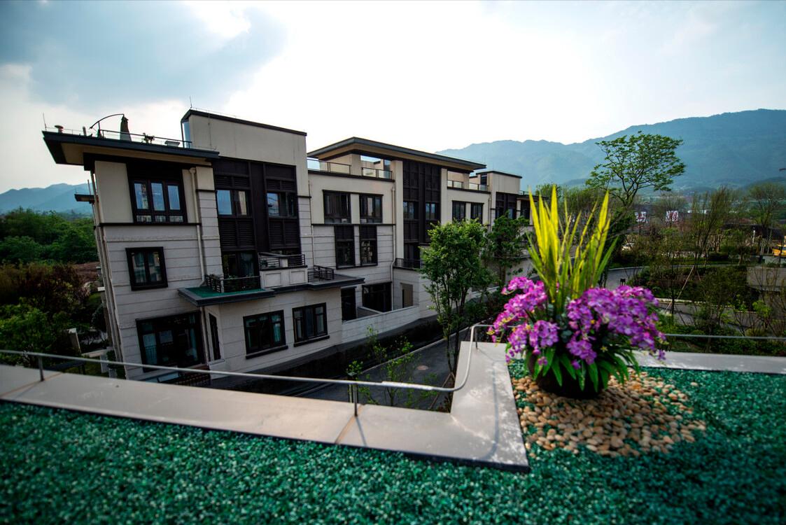 一楼带花园和顶层复式哪个好,一楼带花园和6楼带阁楼哪个好