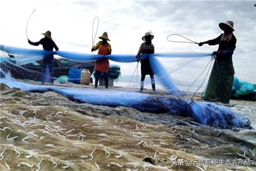 云南玉溪元江特产图片,玉溪通海县十大特产