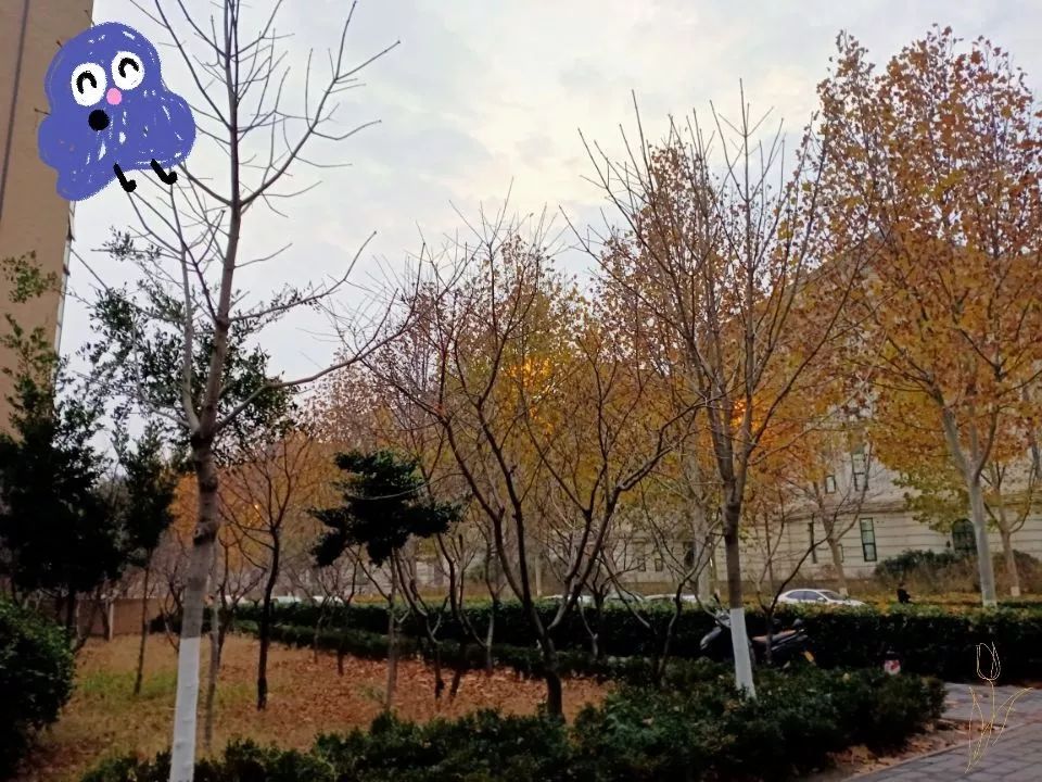 优微推荐｜农农邀你来场别致约会