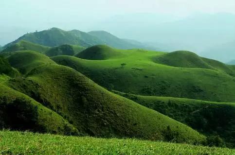 广东草原风景区,广东最美大草原