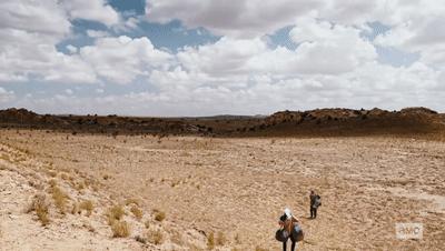 风骚律师s5完整版,风骚律师s5什么时候开通