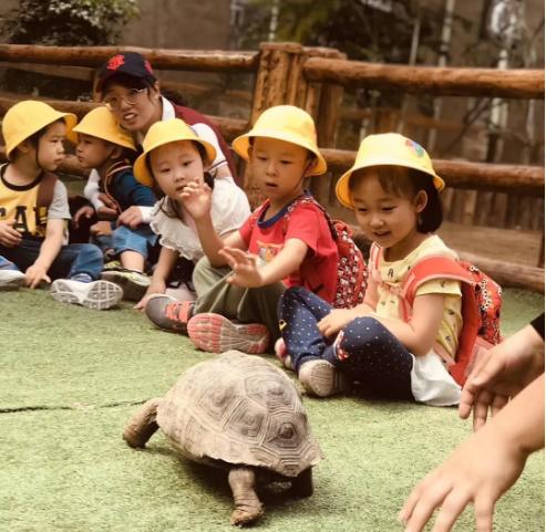 北京梨花旅游攻略,北京旅游攻略大兴庞各庄梨花