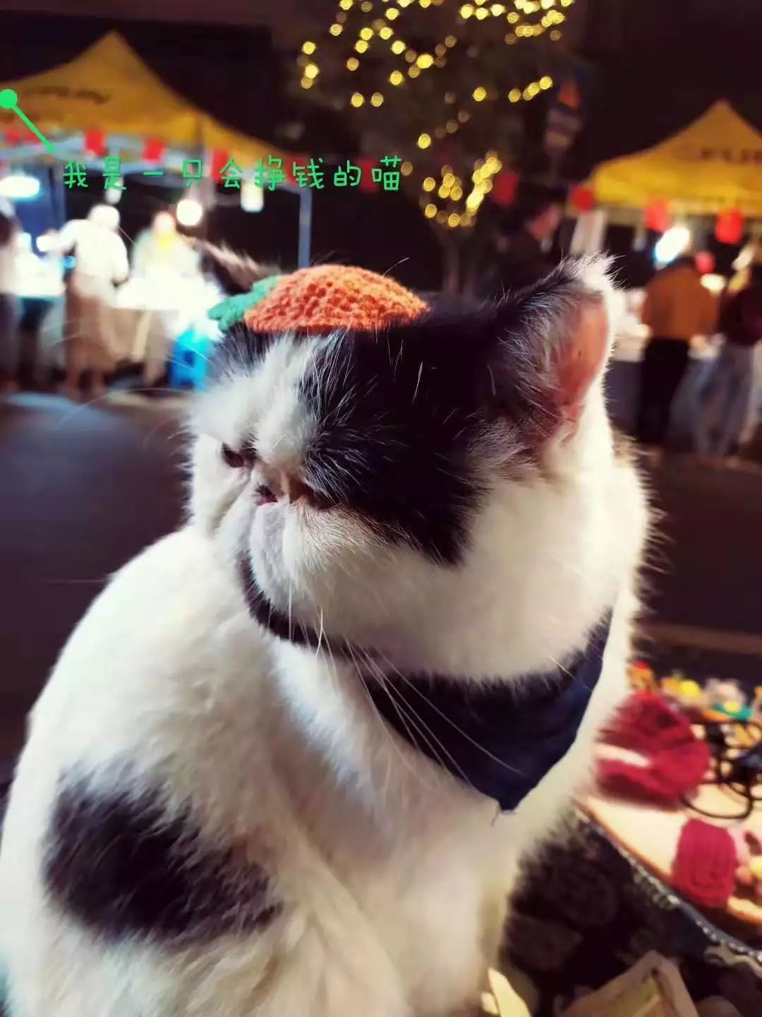 成都夜游攻略大全,成都适合晚上游玩的夜市