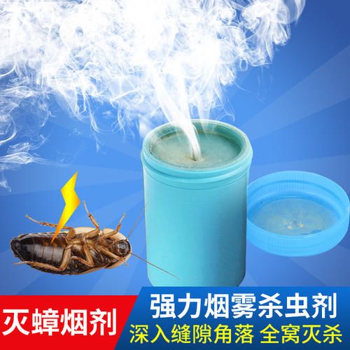 教你一招轻松解决蟑螂,家有蟑螂不要急教你一招