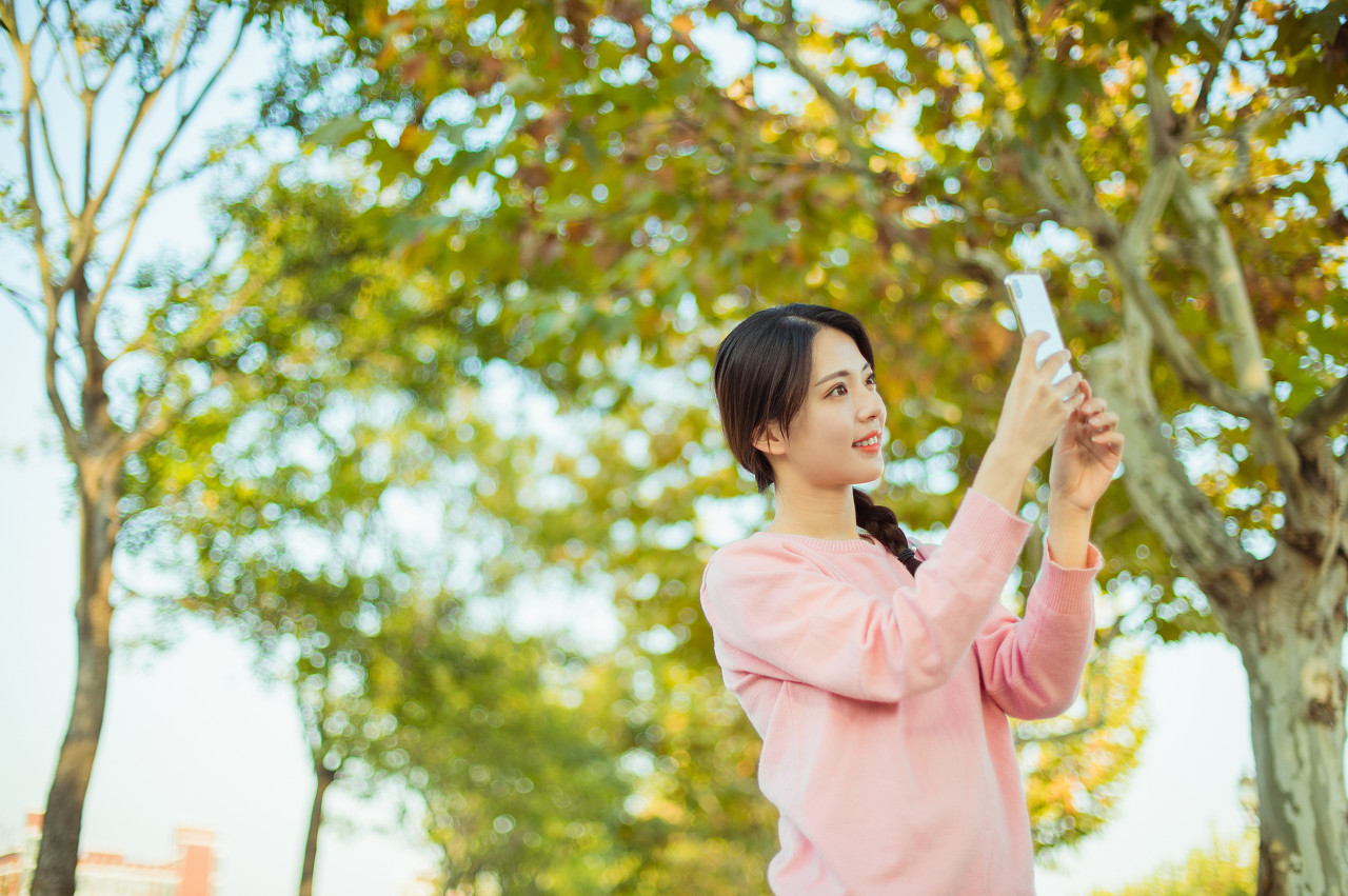 零基础考会计专业硕士mpacc难不难,会计硕士mpacc报考培训班收费标准