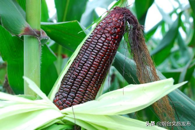 烟台五一假日攻略,烟台欢乐汇玩法