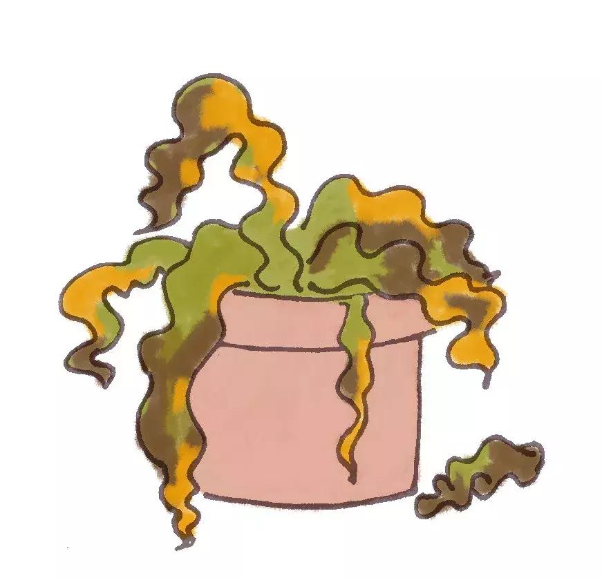 垃圾分类难点有效做法,垃圾分类知识分享