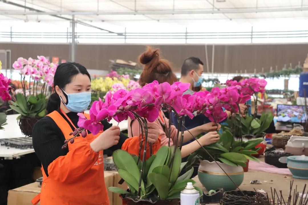 不只是卖花!春天花乐园2.0来了