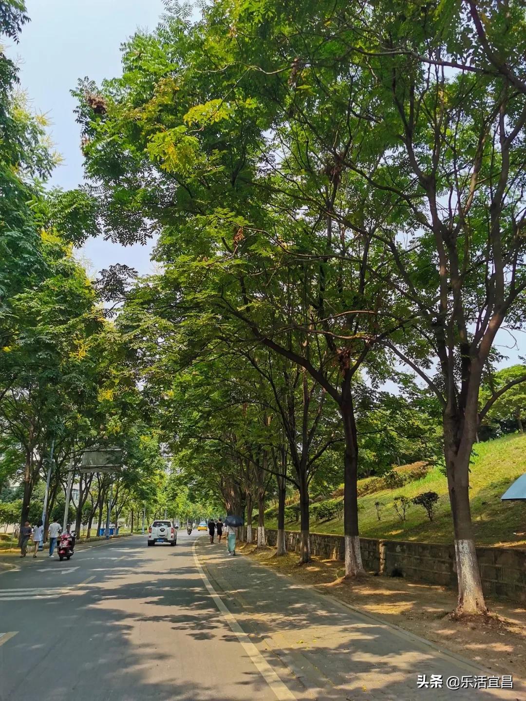 等阴霾散去，春暖花开时节，我想和你一起在宜昌做这100件事