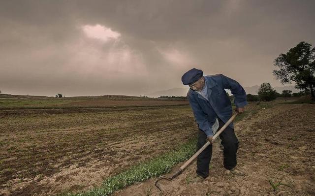 孙女高考仅考了47分爷爷含泪,孙女高考仅得47分爷爷查分震撼了