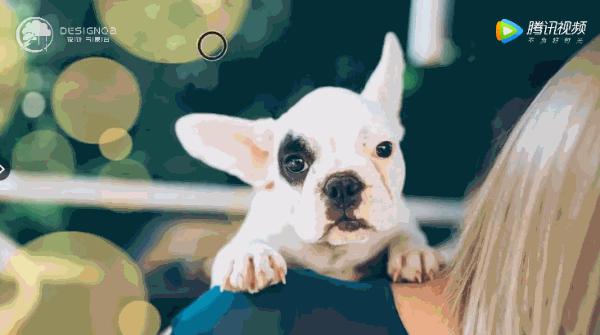 adobe2020版本带着更全面的功能,adobe2023全新正式版本