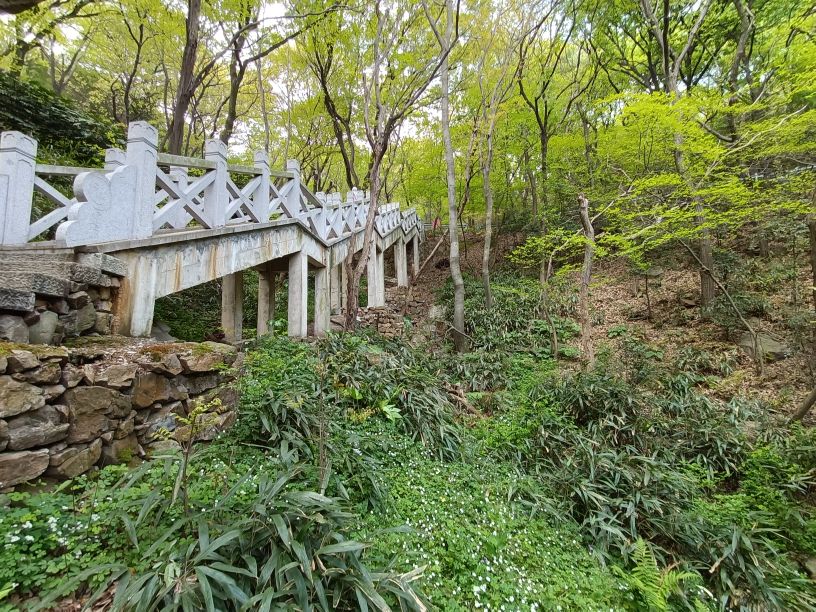 苏州第一高峰穹窿山,苏州最高的山穹窿在哪里