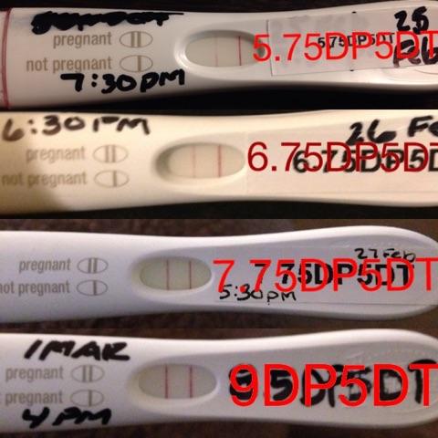 美国代孕最新法律法规,在美国代孕的案例很多吗