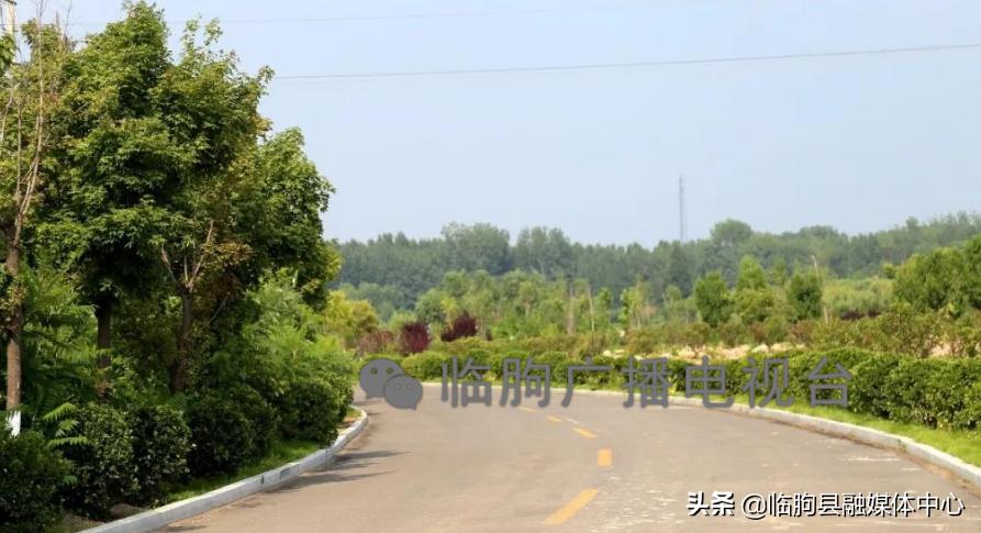 “绿满城乡·秀美临朐”系列报道（八）蒋峪镇篇：勇立潮头迎风起水墨蒋峪谱新篇