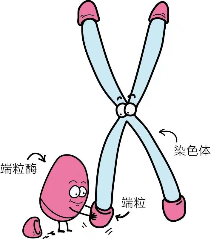 100元美妆面膜推荐,好用的100块面膜