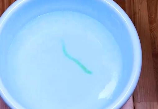 用什么方法洗梳子更干净,洗梳子放什么东西才能洗干净