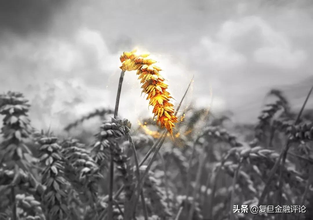 聂庆平谈股票,钱军视频完整版