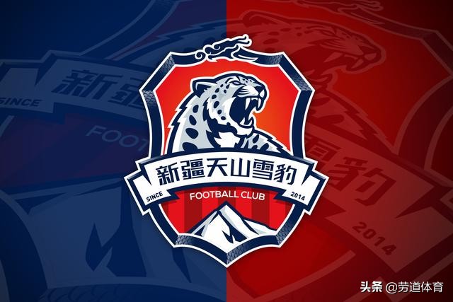 中甲联赛天山雪豹,天山雪豹足球队留中甲