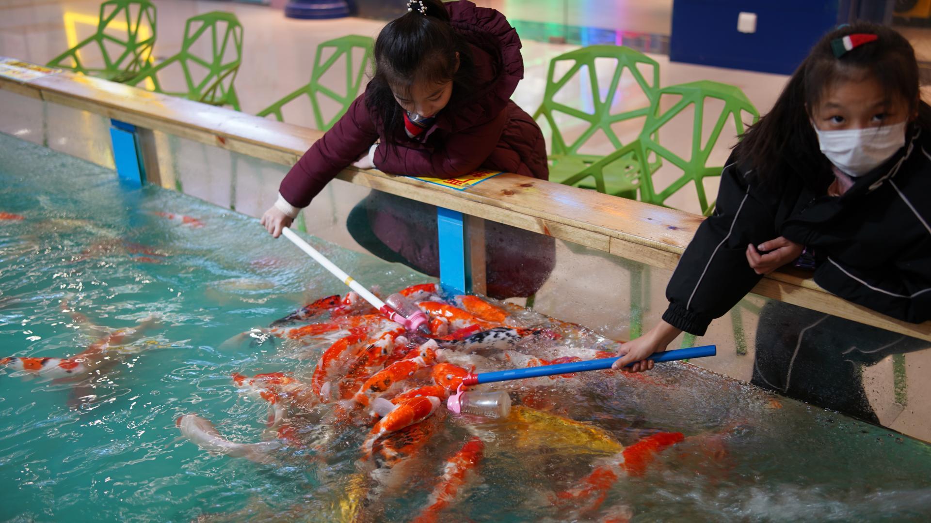 永诺yn35mmf2标准定焦镜头测评,永诺35mmf2和适马35f2对比