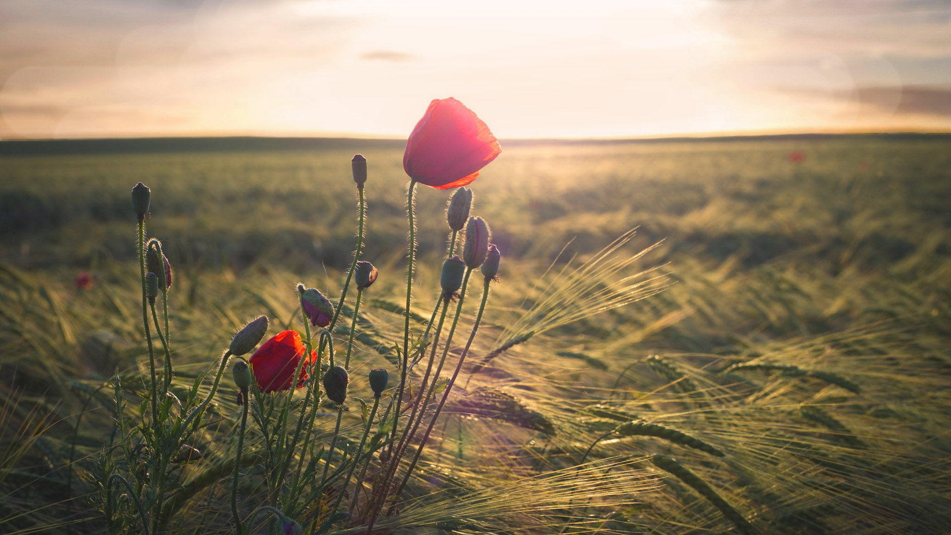 心理学中讨厌自己是什么原因,心态差的心理学