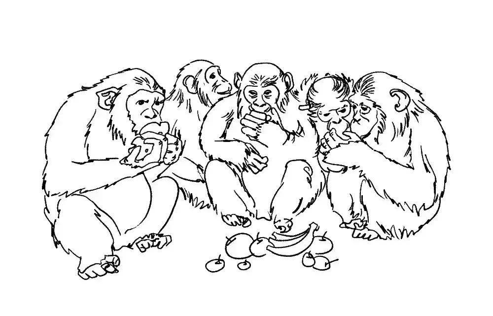 一分钟读懂酒的历史文化,一分钟让你了解酿酒全过程