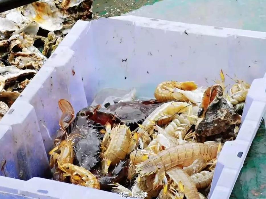 有一种炫富叫辽宁开海,在山东有一种炫富叫开海