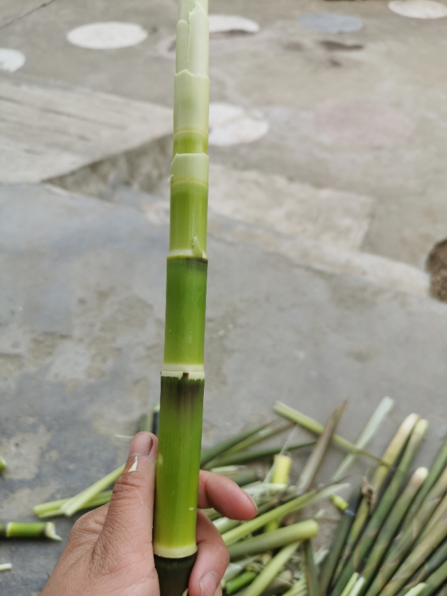 煮过的竹笋怎样在冰箱里长期保存,竹笋拔了怎么保存