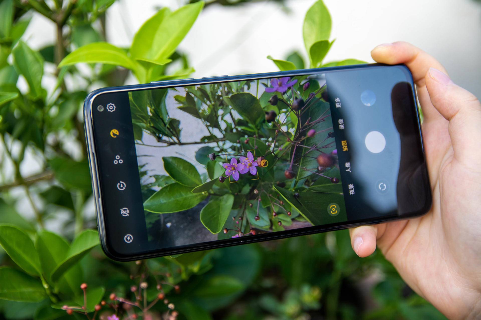 魅族17和魅族17pro如何选择,魅族17和魅族17pro谁更值得购买