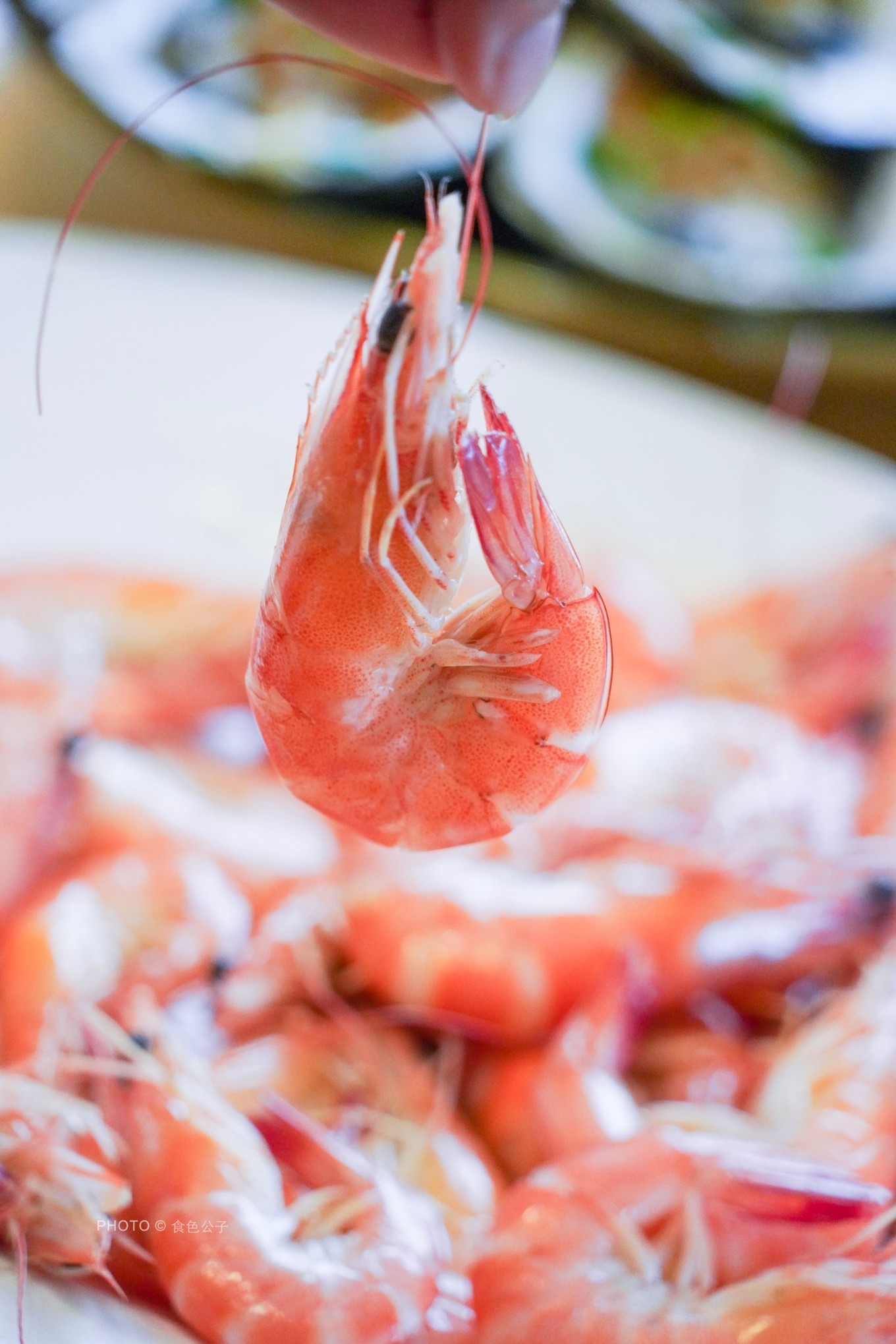 珠海横琴新区旅游攻略,横琴周边网红打卡地