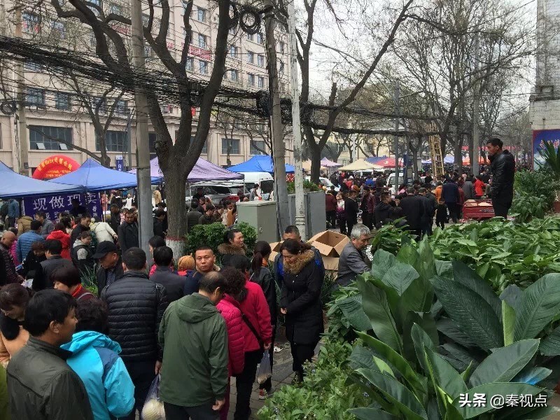 二月二龙抬头用逛庙会吗,二月二龙抬头看庙会