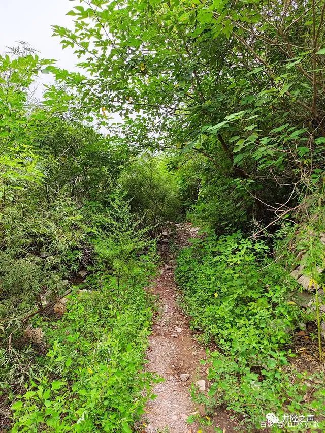 绵蔓河湿地经济带全长,井陉绵蔓河经济带重点村