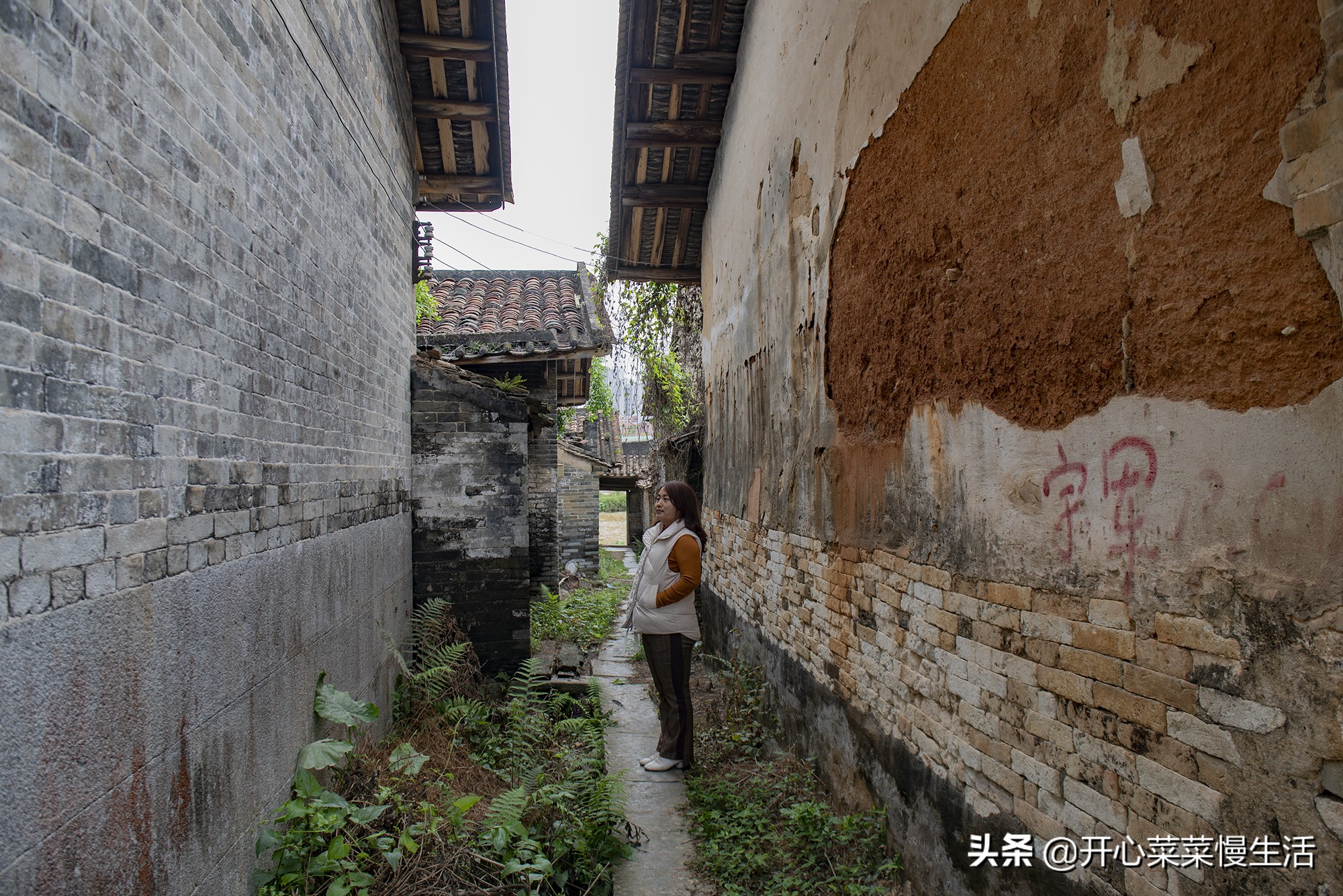 广州这个近900年历史古村要变了,广州古村落现状