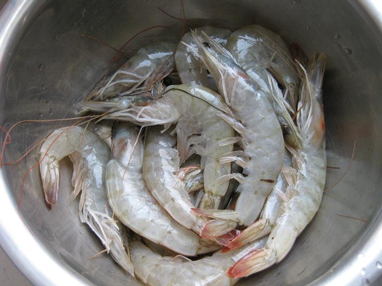 活虾冷冻保存最好的方法,活虾冷冻保存最简单方法