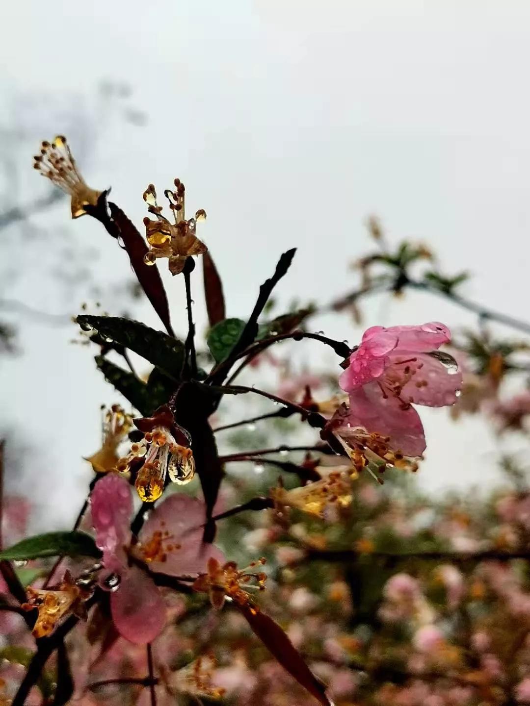 校外的童年时代系列篇之三十四：大哥的婚事