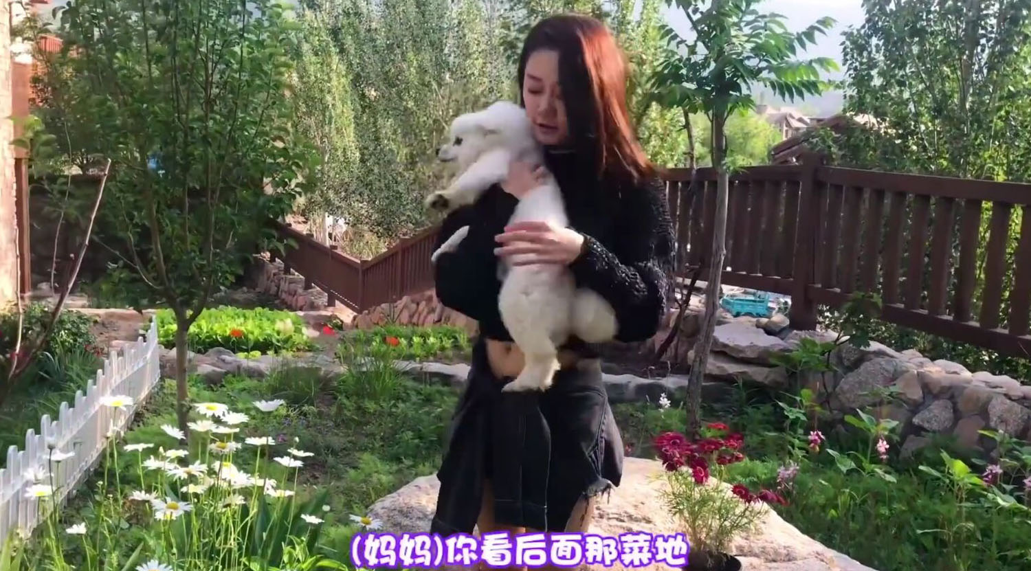 郑恺苗苗幸福生活 (郑恺苗苗恋情疑曝光)