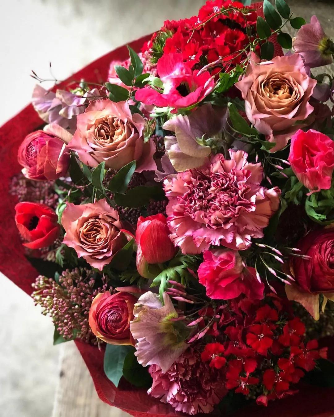 2019真实鲜花图片,2023鲜花爆款图文