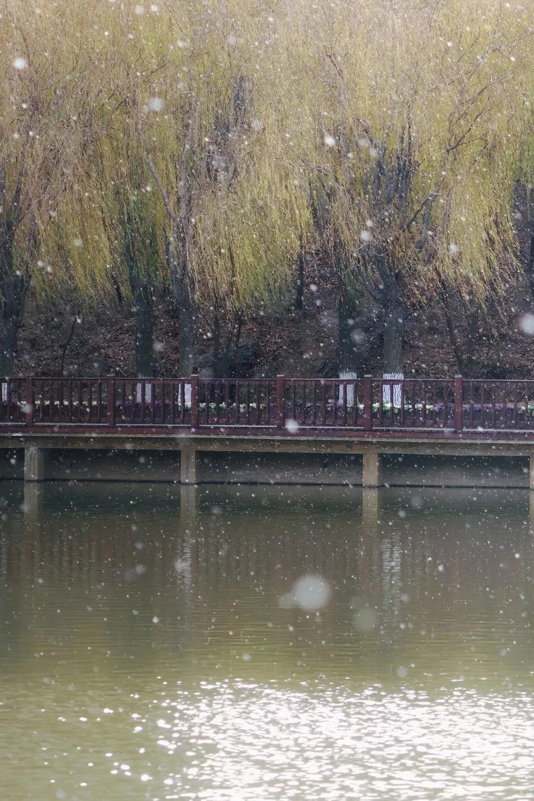 辽宁省高校(三十二)大连外国语大学