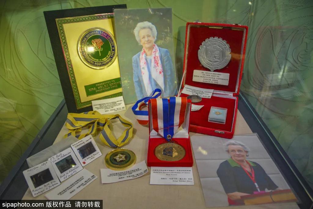 全球最美十大花海美到令人心醉,全球最漂亮花海