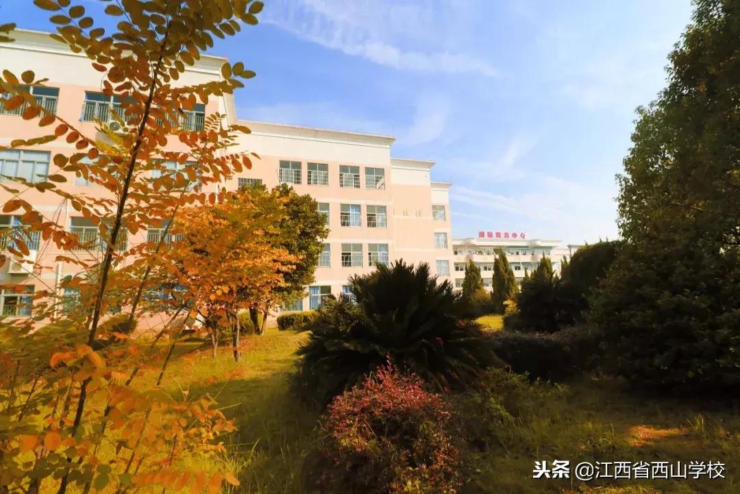 西山学子完整视频,西山学子回母校