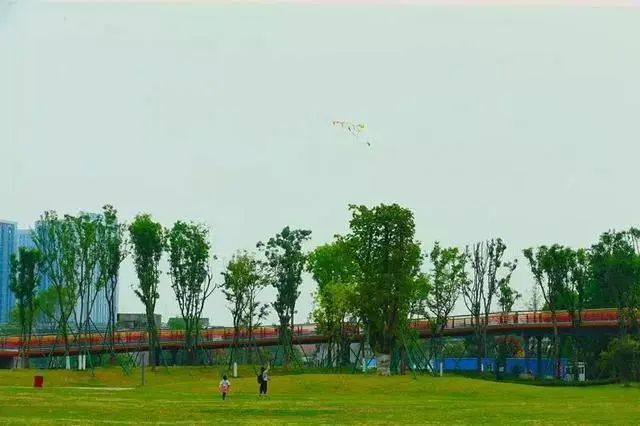 打造公园城市凸显文明魅力,金牛区市政公园规划