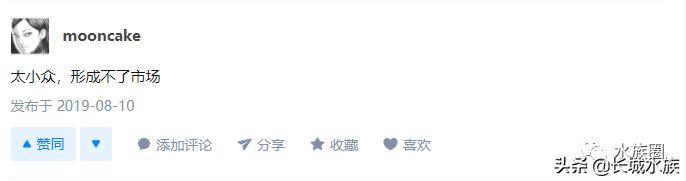 水族市场分析,水族器材行业有前景吗