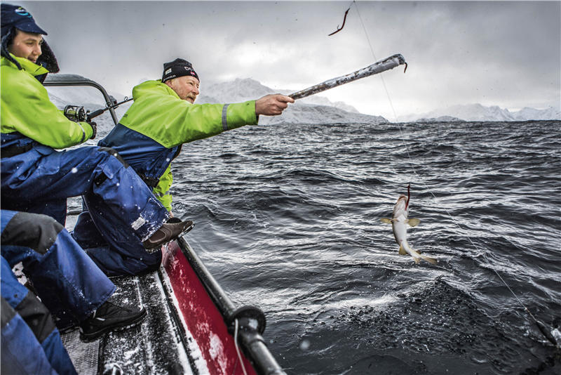 挪威幸福指数很高的国家,挪威幸福感有多高