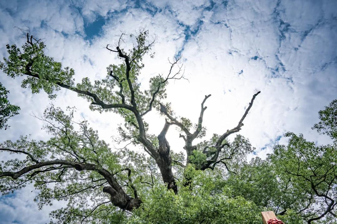 歙县寻古三日游最佳路线,念念不忘自驾游