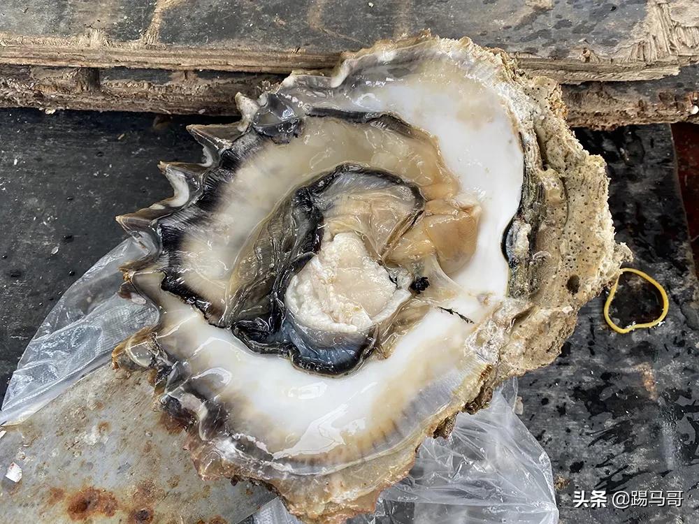 三亚不值得去的景点有哪些,三亚不值得去的景区