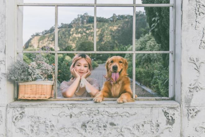饲养宠物狗易出现的几大误区,宠物狗饲养方法和注意事项