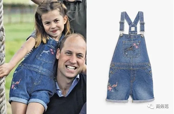 凯特威廉粉色大衣,凯特威廉同款衣服